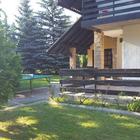 Holiday Home Vila Tejic Zlatibor Buitenkant foto